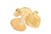 Verse pied de mouton 1kg