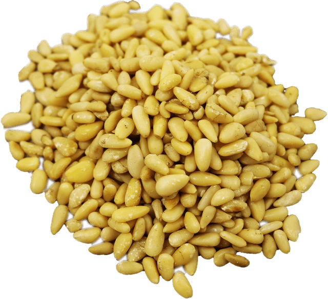 Pijnboompitten China medium