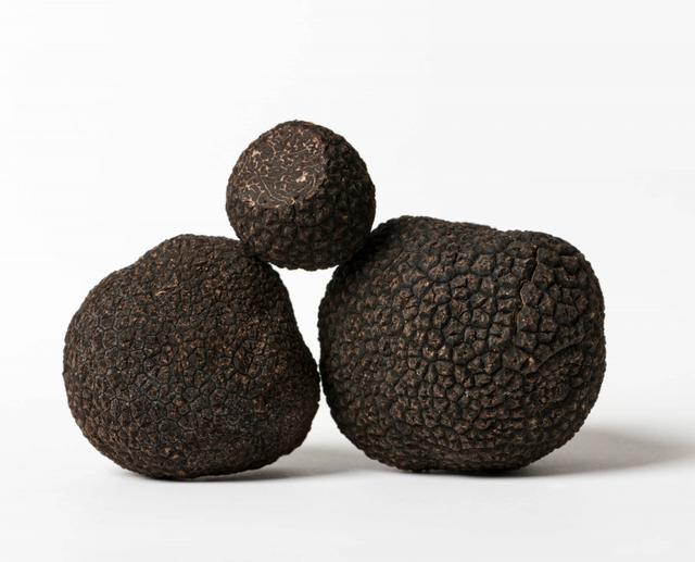 Bevroren wintertruffel extra +30 gram