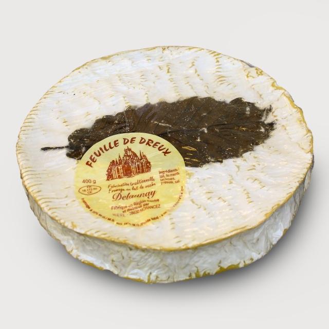 Feuille de Dreux