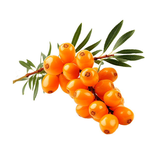 Duindoornbes 500 gr DIEPVRIES