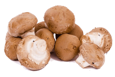 Kastanjechampignons