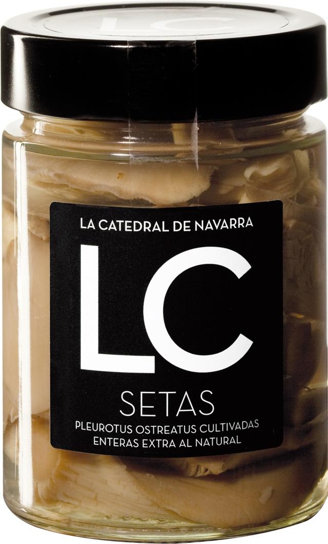 Setas FCO-370 La Catedral