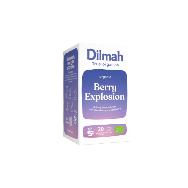 Organic Berry Explosion | 20 Biodegradable Tea Bags | Organic