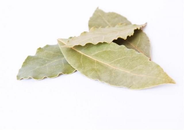 Gedroogde laurierblaadjes eco