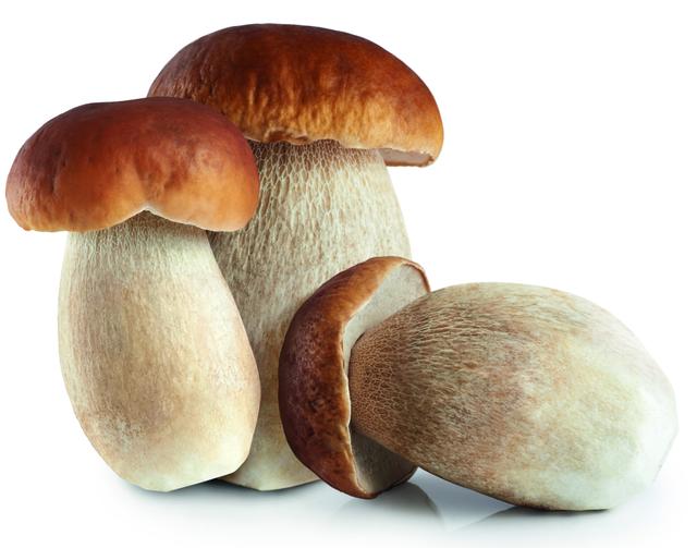 Verse cepes (doorgesneden)