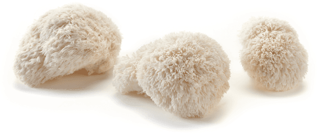 Pompom blanc
