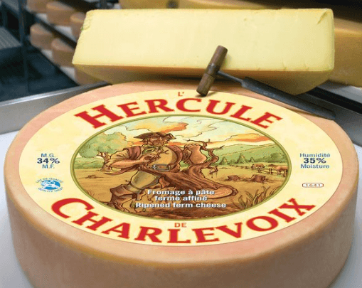 Hercule 