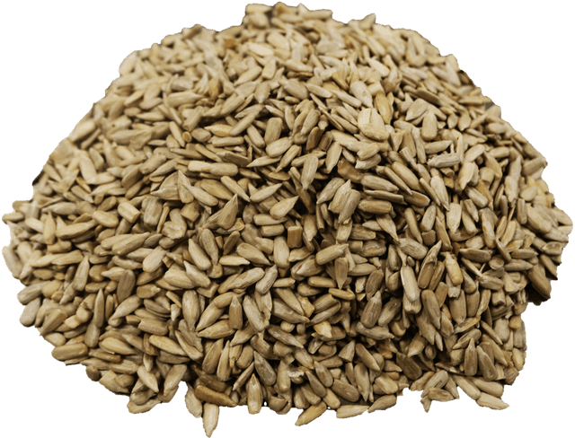 Zonnebloempitten 5KG