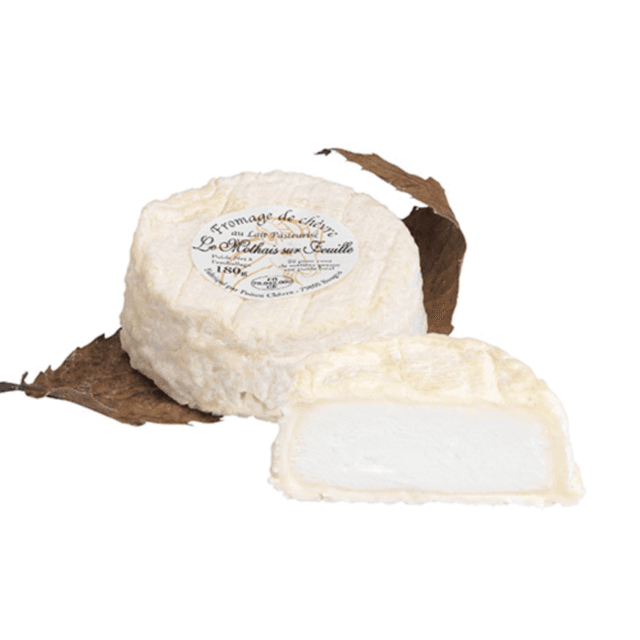 Mothais blanc sur feuille