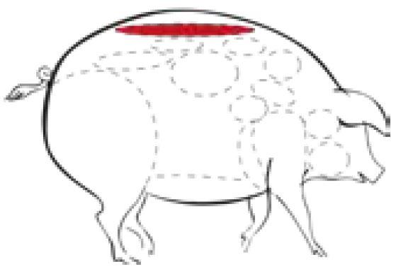 Bevroren lomo iberico bellota (gemarineerd) 