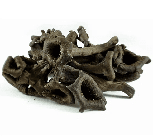 Gedroogde trompette de la mort 
