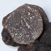 Bevroren wintertruffel stukken