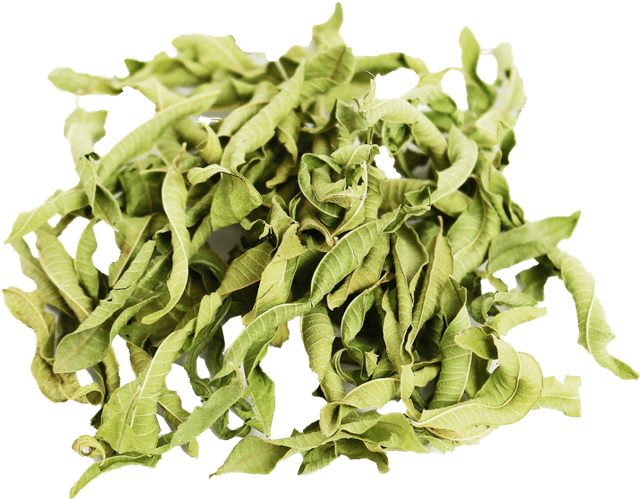 Gedroogde verveine eco