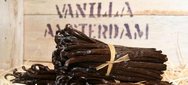 Bourbon Vanille: nieuwe oogst, extra lang gerijpt!