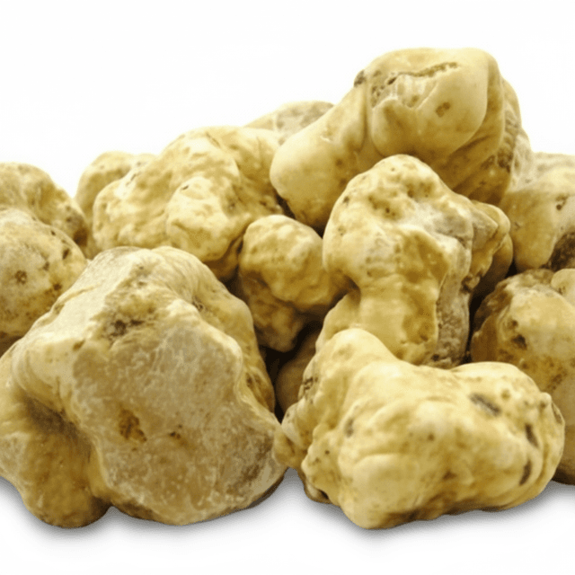 Verse witte truffel ALBA klein